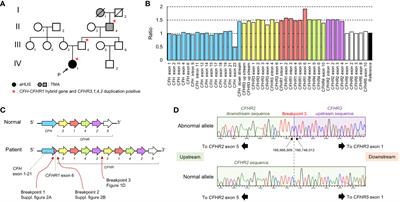 Case report: A family of atypical hemolytic uremic syndrome involving a CFH::CFHR1 fusion gene and CFHR3-1-4-2 gene duplication